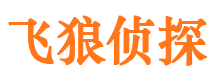 汉川飞狼私家侦探公司